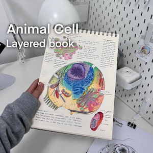 Libro sobre capas de células animales de GillyStudy