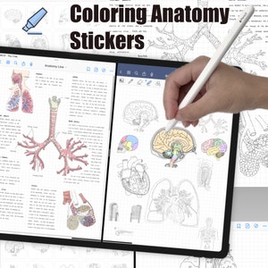 May include: A digital tablet displaying anatomical illustrations and the words "Coloring Anatomy Stickers." The screen shows detailed drawings of the human respiratory system, brain, and heart, with some colored and others outlined for coloring. A stylus is held near the screen.