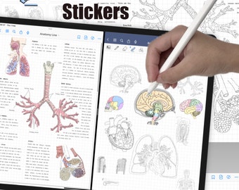 Coloring Anatomy Stickers by gillystudy