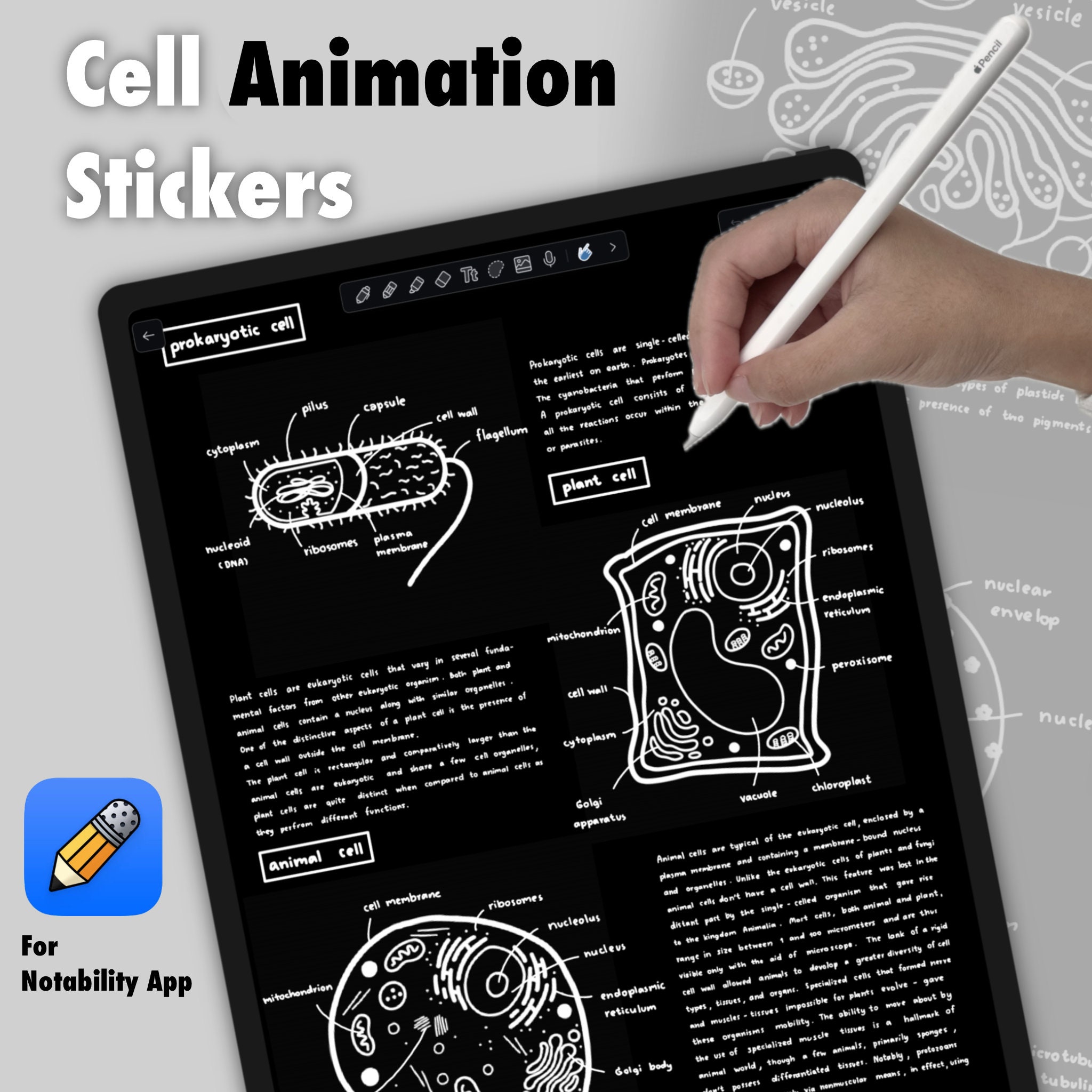 Cell Animation Stickers for Notability App (digital Stickers) - Etsy