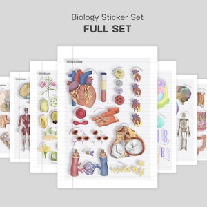 Può includere: Un Biology Sticker Set FULL SET composto da diversi fogli con illustrazioni anatomiche, tra cui un cuore umano, uno scheletro, un cervello e varie strutture cellulari. Ogni foglio contiene diagrammi etichettati di sistemi e organi biologici.