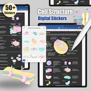 Può includere: Un set di adesivi digitali con illustrazioni colorate di varie strutture cellulari, tra cui il nucleo, i mitocondri, il reticolo endoplasmatico, l'apparato di Golgi e altro ancora. Gli adesivi sono progettati per l'uso nella presa di appunti digitali e nell'apprendimento della biologia cellulare.