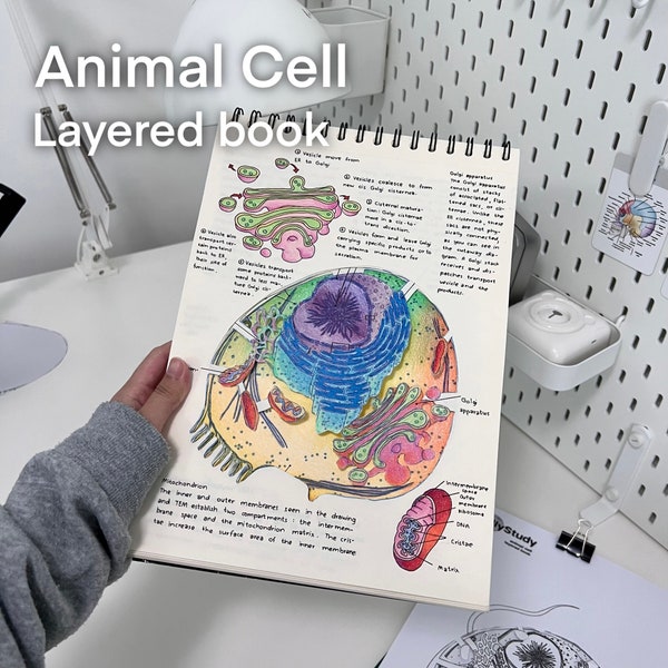 Animal Cell Layered Book by GillyStudy