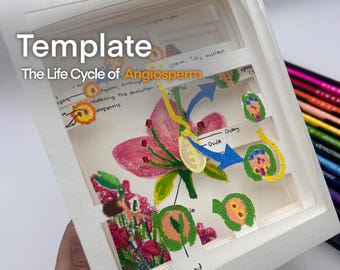 3D Layer Book Life Cycle of an Angiosperm Template by gillystudy