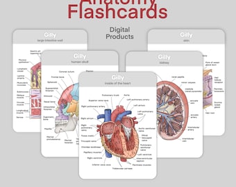 Fiches numériques d'anatomie humaine et exercices d'étiquetage, PDF imprimable pour les études pré-médicales