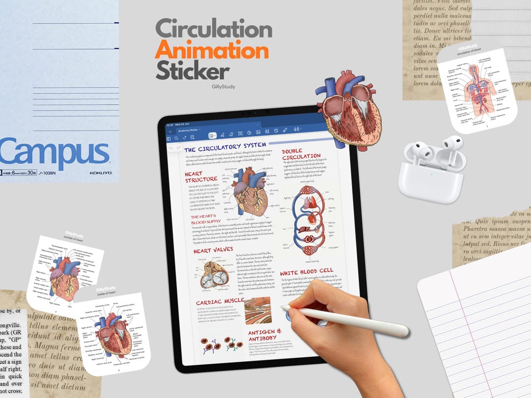 Circulation System Animated Anatomy Stickers, Moving Medical Study ...
