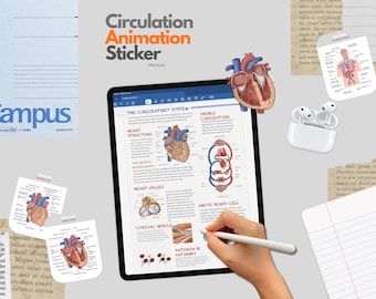 Circulation System Animated Anatomy Stickers, Hand-Drawn Medical Study Aid (Digital Download)