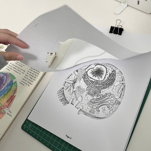 Libro sobre capas de células animales de GillyStudy imagen 3