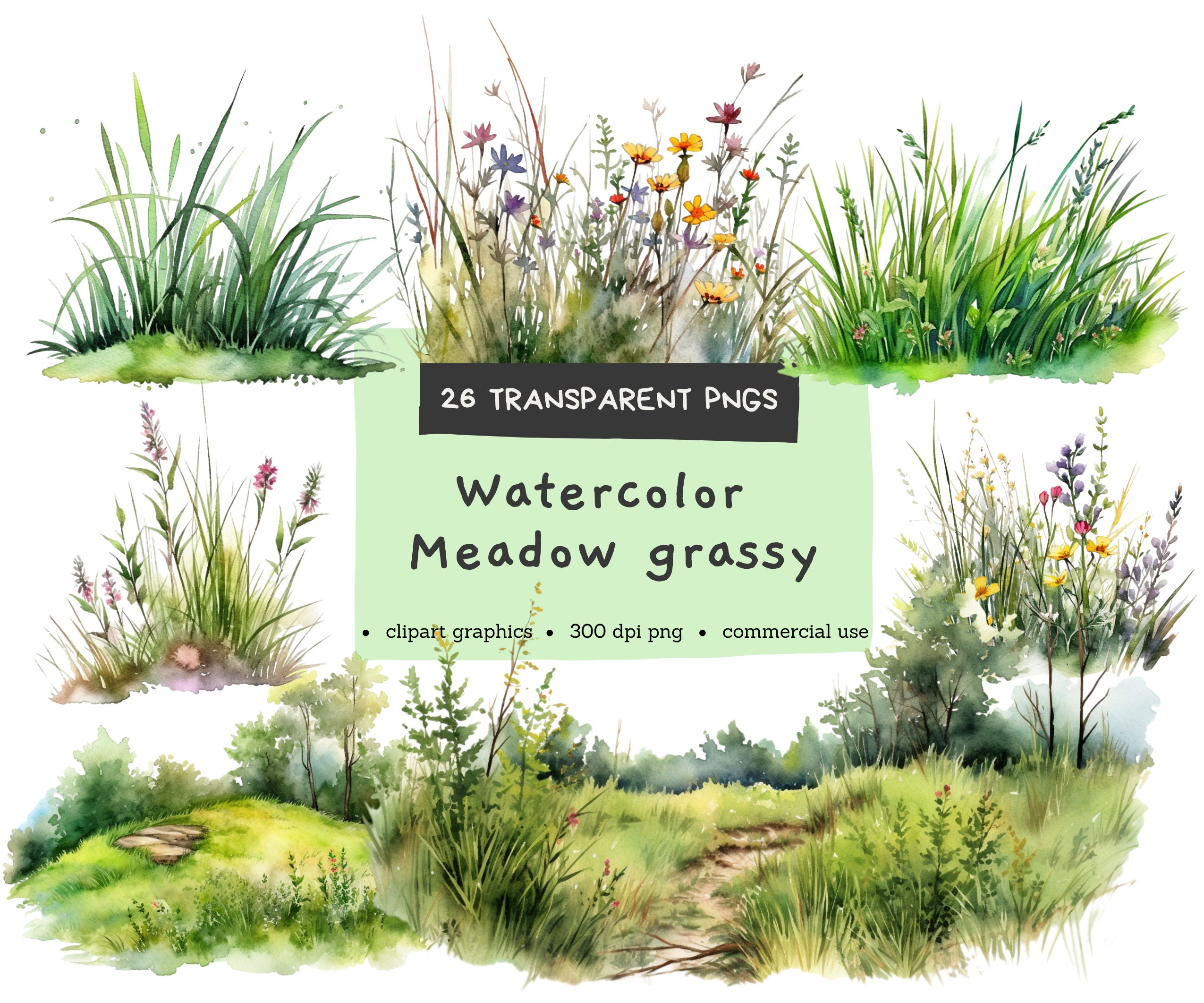 Watercolor Grass Clipart, Meadow, Summer Greenery, Digital Pintables, Bundle Watercolor Clipart PNG, Commercial Use, Instant Download