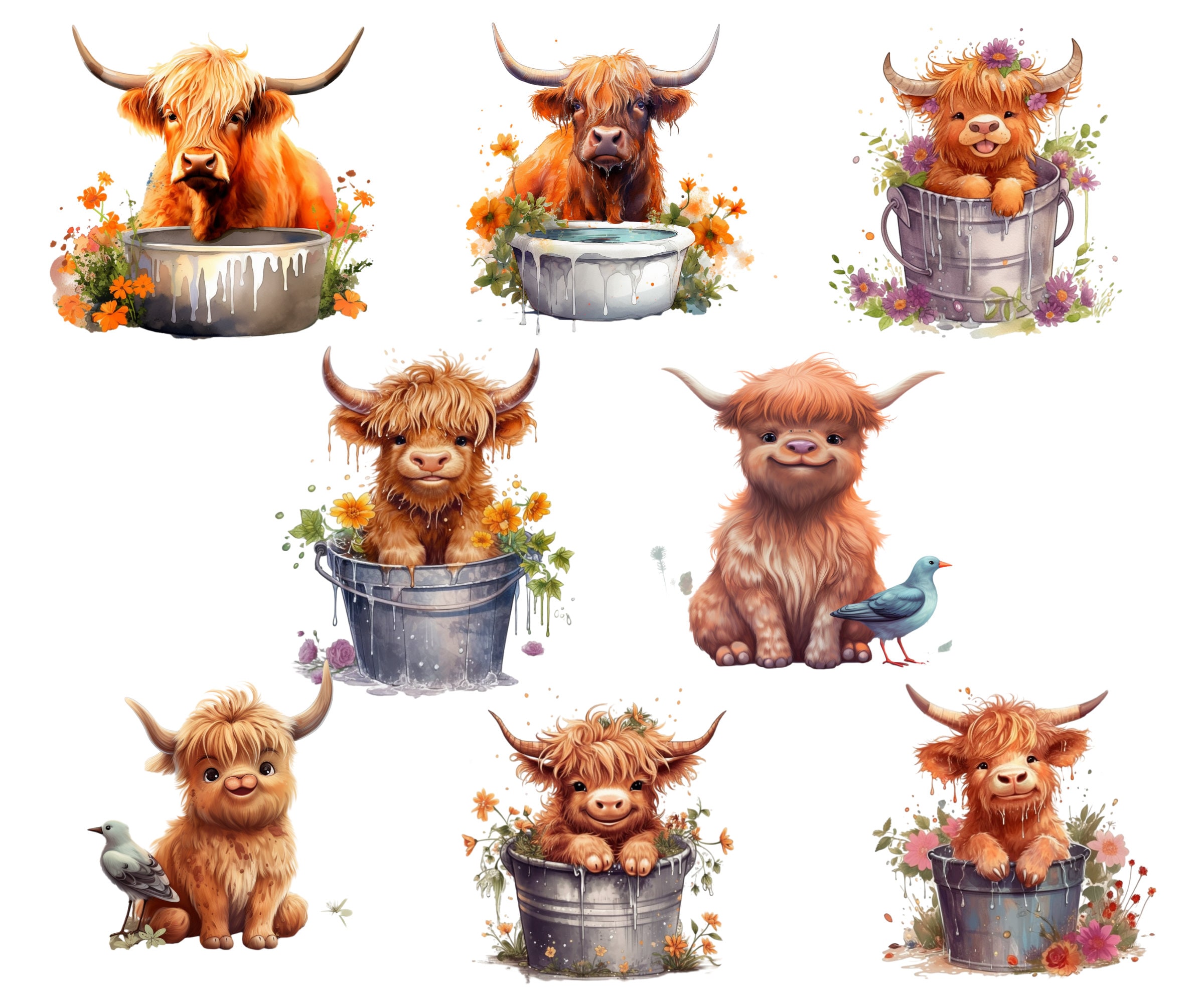 Cute Highland Cow Baby Shower Decor Animal Digital Etsy