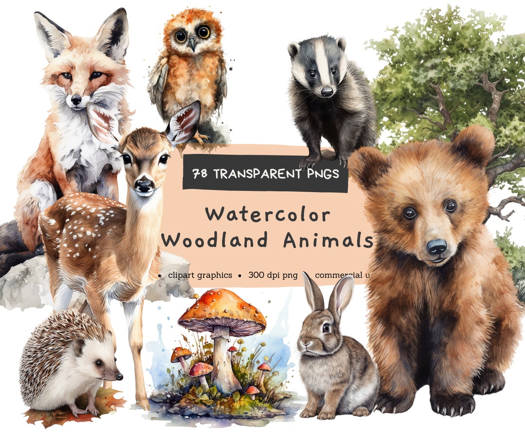 Woodland Animals Clipart Illustration Bundle, Watercolor Animal, Bear ...