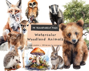 Woodland Animals Clipart Illustration Bundle, Watercolor animal, Bear, Bunny, Deer, Fox, Hedgehog, Owl, Trees, Mushroom, Squirrel