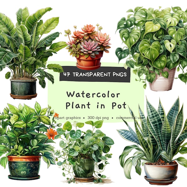 Plants In Pot, Gardening, potted plants, house plants, Digital Pintables, Bundle Watercolor Clipart PNG, Commercial Use, Instant Download