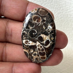 Natürliche AAA Turritella Achat Edelstein Cabochon: Schmuckstein A. 39x26x6 mm