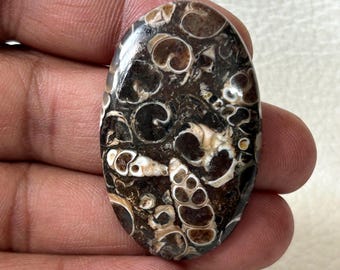 Natural AAA Turritella Agate Gemstone Cabochon: Jewelry Making Stone
