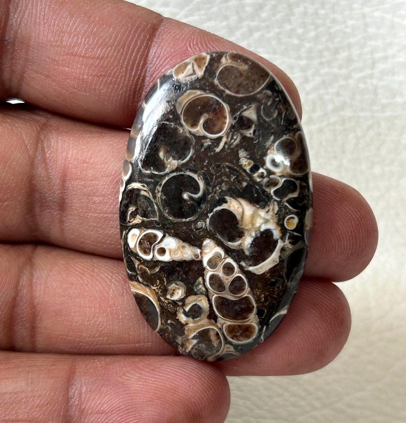 Natürliche AAA Turritella Achat Edelstein Cabochon: Schmuckstein A. 39x26x6 mm