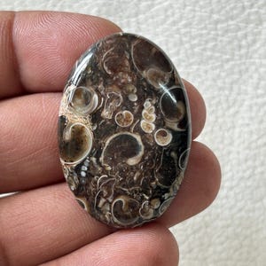 K&ouml;nnte beinhalten: Ein brauner und wei&szlig;er Achat-Cabochon mit einem wirbelnden Muster aus wei&szlig;en und braunen Kreisen und Linien. Der Cabochon ist oval geformt und hat eine glatte, polierte Oberfl&auml;che.