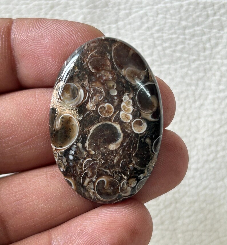 K&ouml;nnte beinhalten: Ein brauner und wei&szlig;er Achat-Cabochon mit einem wirbelnden Muster aus wei&szlig;en und braunen Kreisen und Linien. Der Cabochon ist oval geformt und hat eine glatte, polierte Oberfl&auml;che.