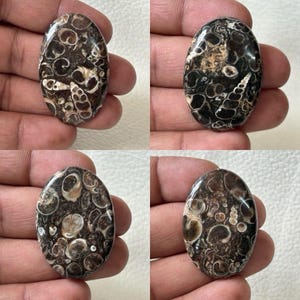 K&ouml;nnte beinhalten: Vier ovale Cabochons aus schwarzem und wei&szlig;em Achat mit einem wirbelnden Muster. Die Steine sind etwa 5 cm lang und 2,5 cm breit.