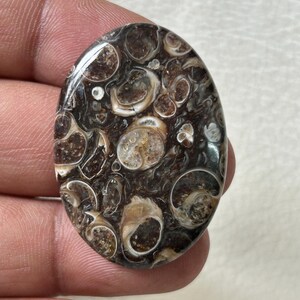 K&ouml;nnte beinhalten: Ovaler Cabochon aus braunem und wei&szlig;em Achat mit einem wirbelnden Muster aus konzentrischen Kreisen.