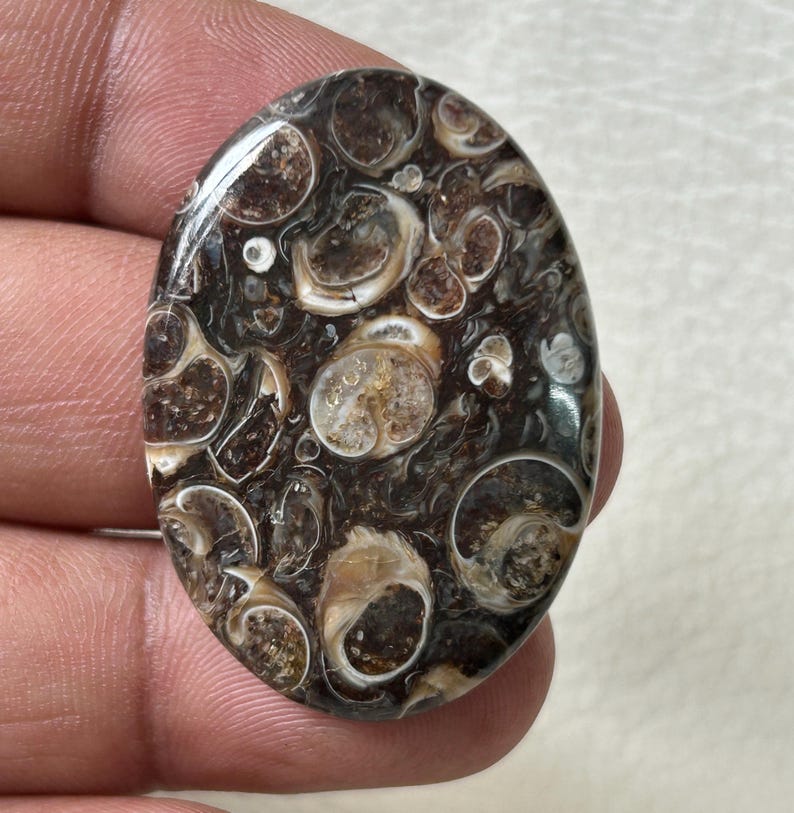 K&ouml;nnte beinhalten: Ovaler Cabochon aus braunem und wei&szlig;em Achat mit einem wirbelnden Muster aus konzentrischen Kreisen.