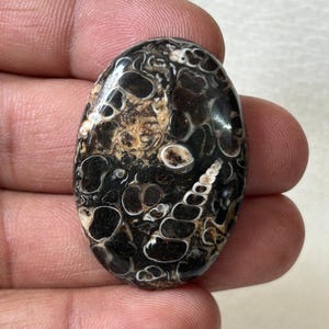 K&ouml;nnte beinhalten: Ein ovaler Cabochon in Schwarz und Wei&szlig; mit einem wirbelnden Muster aus Braun, Wei&szlig; und Schwarz. Der Stein hat ein einzigartiges und kompliziertes Design.