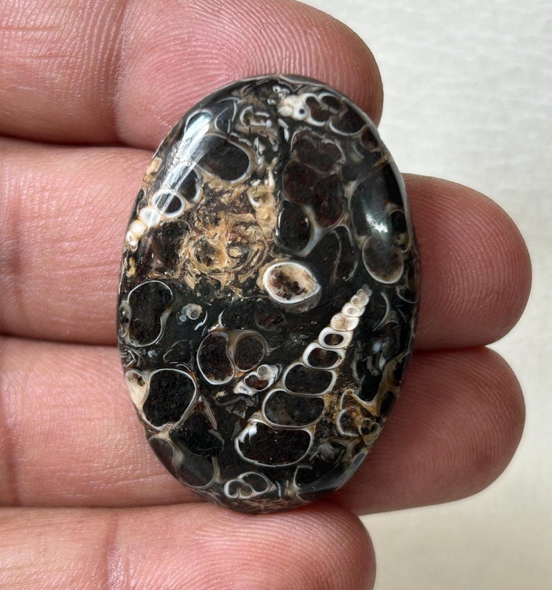 K&ouml;nnte beinhalten: Ein ovaler Cabochon-Edelstein in Schwarz, Wei&szlig; und Braun mit einem wirbelnden, organischen Muster. Der Stein hat eine polierte, glatte Oberfl&auml;che.