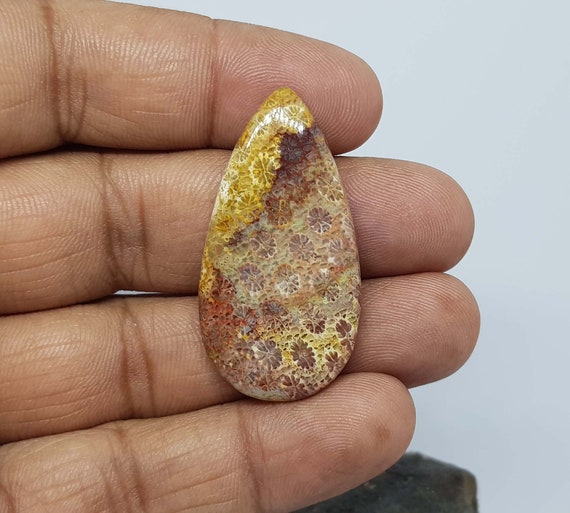 Fossil Coral Gemstone Cabochon Lot: Natural Gemstone Jewelry Making