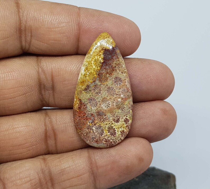 May include: A teardrop-shaped cabochon of fossilized coral. The stone displays a captivating pattern of intricate, flower-like structures in varying shades of tan, brown, and reddish-orange.  The polished surface showcases the detailed texture of the fossilized coral, highlighting its natural beauty and unique characteristics. This gemstone is ideal for jewelry making, adding a touch of organic elegance to any design.