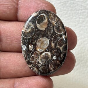 K&ouml;nnte beinhalten: Ovaler Cabochon-Edelstein mit braunem und wei&szlig;em Muster. Der Stein hat ein wirbelndes, organisches Design mit vielen kleinen Kreisen und Ovalen.