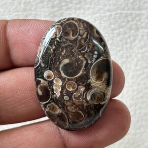 K&ouml;nnte beinhalten: Ein ovaler Achat-Cabochon in Braun und Wei&szlig; mit einem wirbelnden Muster aus konzentrischen Kreisen und Ovalen. Der Stein hat eine polierte Oberfl&auml;che und ist durchscheinend.