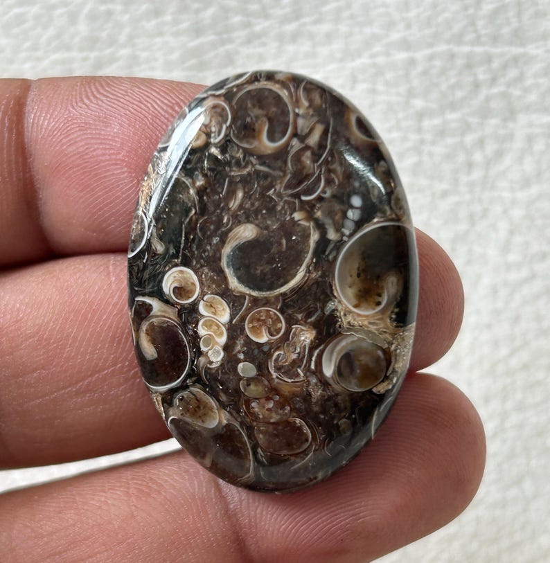 K&ouml;nnte beinhalten: Ein ovaler Achat-Cabochon in Braun und Wei&szlig; mit einem wirbelnden Muster aus konzentrischen Kreisen und Ovalen. Der Stein hat eine polierte Oberfl&auml;che und ist durchscheinend.