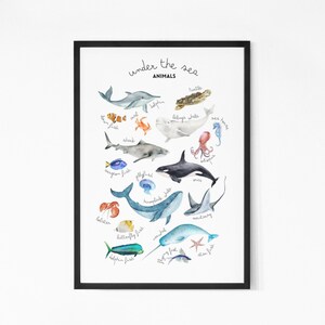 Kids Ocean animals Poster, Educational Poster, Sea animals Print, Montessori and Home school printables, Nursery wall art, Whale Print