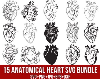 May include: A set of 15 black and white anatomical heart SVG designs. The hearts are detailed and realistic, with visible chambers and valves. The designs are perfect for creating crafts, projects, and digital designs.