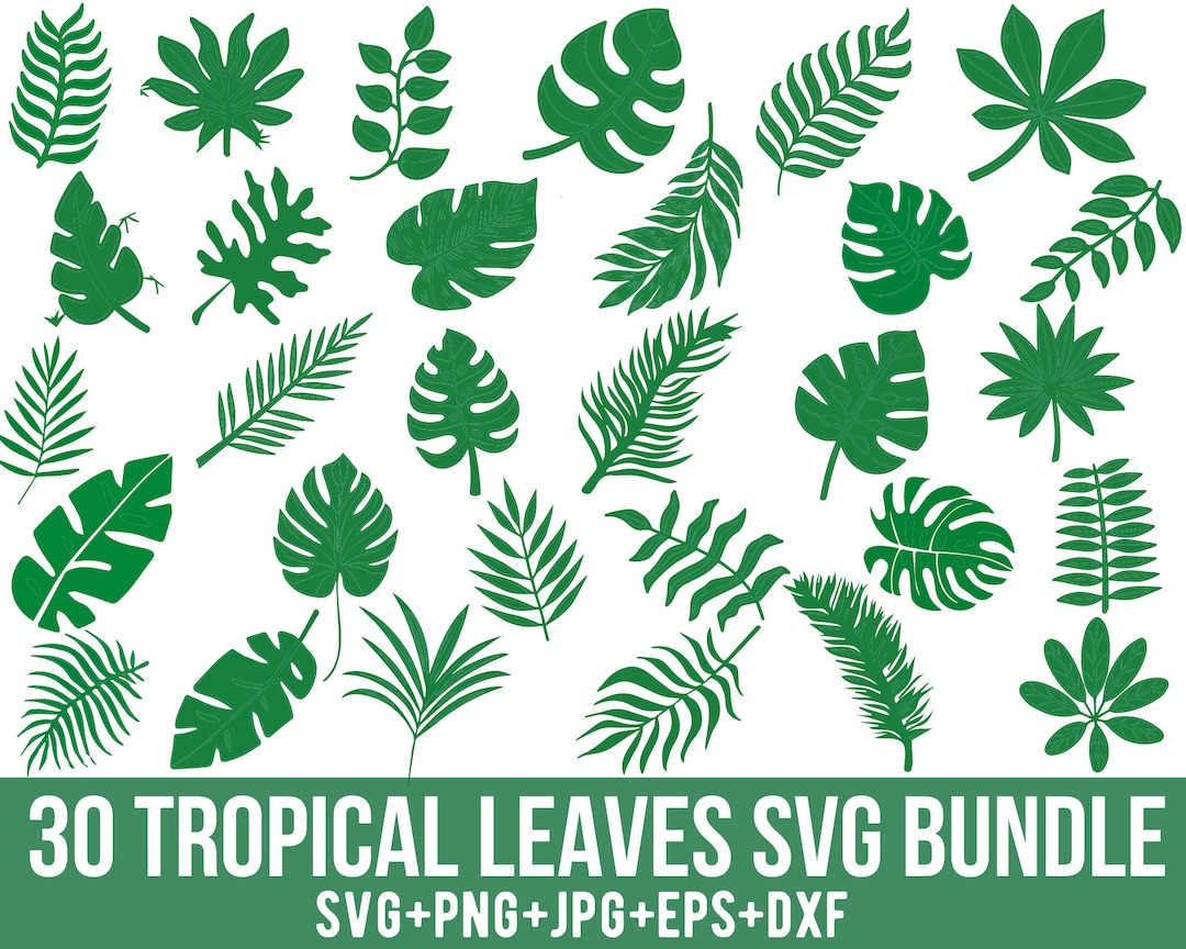 Tropical Leaves Svg Bundle, Monstera Leaf Svg, Palm Branch Svg, Palm ...
