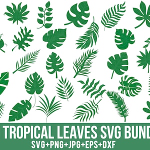 Tropische Blätter geschnitten, Monstera Blatt, Monstera Blatt, Palmenblatt Blatt, Tropische Blätter, Dschungelblätter, Clipart, Cricut, Silhouette