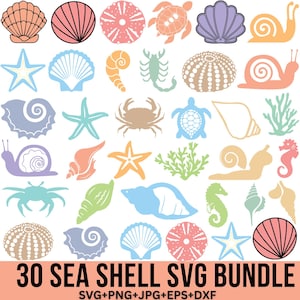 Pode incluir: Um conjunto de 30 arquivos SVG de conchas marinhas coloridas. As imagens incluem várias conchas marinhas, estrelas do mar, cavalos-marinhos, caracóis, caranguejos e tartarugas marinhas. O texto "30 SEA SHELL SVG BUNDLE" está na parte inferior da imagem. O texto "SVG+PNG+JPG+EPS+DXF" está abaixo do texto do pacote.