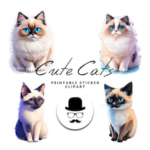 Cute Cat Sticker Pack, Printable Digital Clipart, Commercial Use, PNG Instant Download