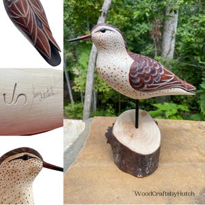 Wood Carved Sandpiper Shorebird with Glass Eyes Hand Painted on Wood Stand  Collectible  Beach Cottage Seashore Home Decor Collectible Decoy