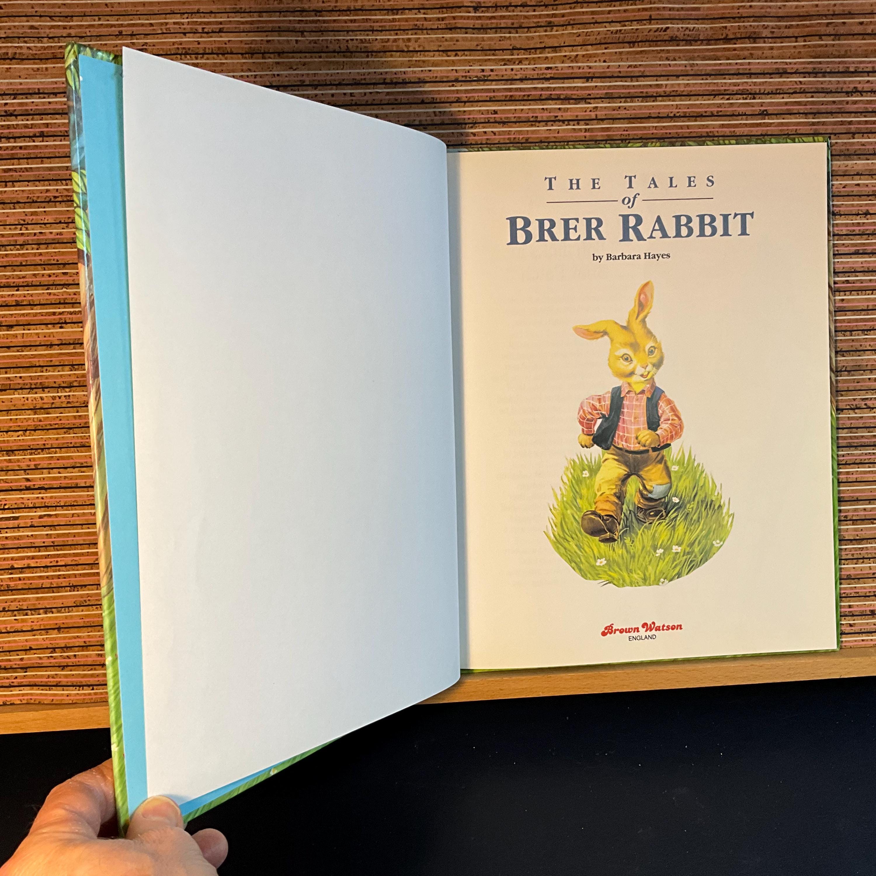 Vintage Brer Rabbit Illustrated Hardback Book - First UK Edition