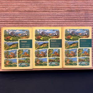 The Illustrated Encyclopedia of Animal Life: The Animal Kingdom, Mammals 1, 2, 3  - Bundle of 3 x First Edition Hardback Books, Odhams 1964