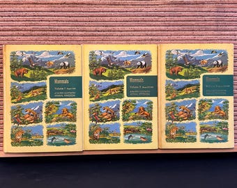 Collier's Encyclopedia (20 Volume Set) COMPLETE SET - Etsy