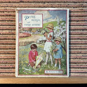 Peter, Bingo y esos otros de Edward Seaman - Libro de bolsillo infantil antiguo, "The Maytime Stories", The Carey Press, 8.ª edición, c1930