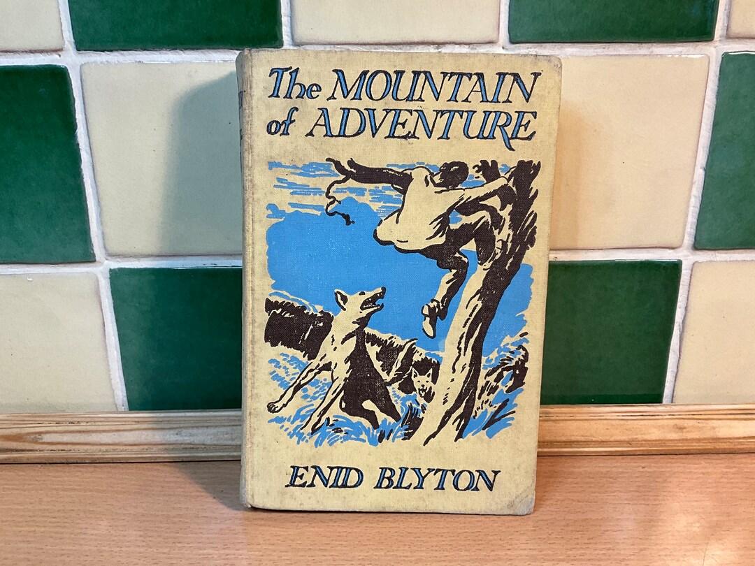 The Mountain of Adventure by Enid Blyton Illustrations by - Etsy