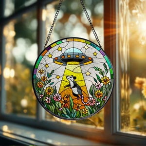 UFO Abduction Opossum Glass Suncatcher: Funny Window Hanging Gift Set