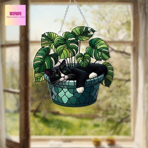 May include: A black and white cat naps inside a hanging planter filled with green monstera plants. The planter is teal blue with a geometric pattern.