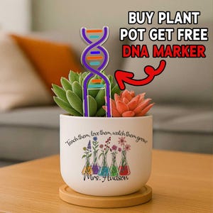 Science Teacher Plant Pot with Free DNA Marker, Teacher Appreciation Gift, Back to School Desk Decor, Chemistry & Biology for Classroom