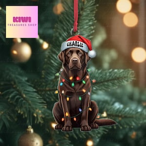 Puede incluir: Un adorno navideño de un Labrador color chocolate que lleva un gorro de Papá Noel rojo y blanco con el nombre Charlie impreso en el borde. El perro está envuelto en una cadena de luces navideñas de colores y cuelga de una cinta roja.