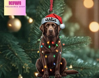 thumbnail interactive-video image 1 of Leonardo Puppy Love Labrador Ornament – Black Lab & Chocolate Labrador Retriever Resin Figurine 1 of 5