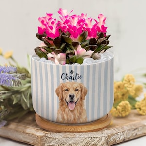 Maceta de cerámica personalizada para mascotas, maceta a rayas, maceta personalizada con retrato de perro, maceta para suculentas
